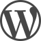 wordpress image for icon
